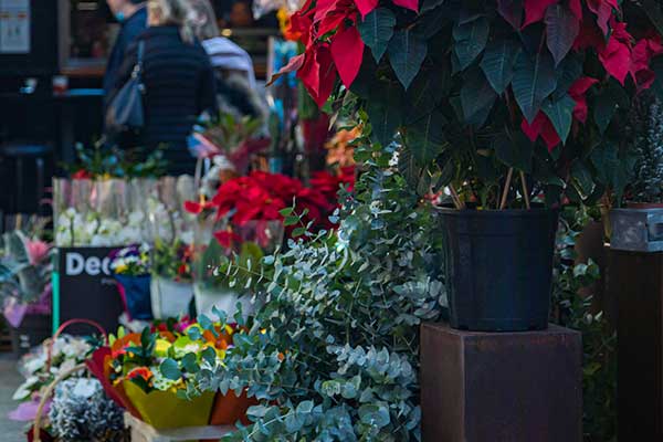 Puestos de Flores en Plaza de la Flores - Turismo de Murcia